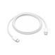 Кабель Apple USB Type-C - USB Type-C (M/M) 1 м, White (MQKJ3-OEM) [604270], фото 1