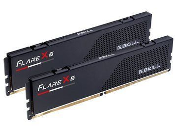 Модуль пам`ятi DDR5 2x16GB/5200 G.Skill Flare X5 (F5-5200J3636C16GX2-FX5) [611252]