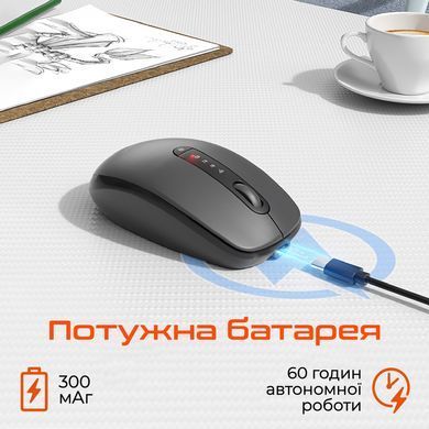 Миша бездротова Meetion BTM100R Black/Steel Gray (MT-BTM100R-A) [618279]