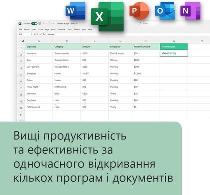 Примірник ПЗ Microsoft Office Home and Business 2024, ESD (EP2-06605) [503544]