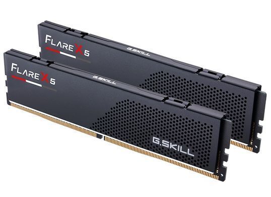 Модуль пам`ятi DDR5 2x16GB/5200 G.Skill Flare X5 (F5-5200J3636C16GX2-FX5) [611252]