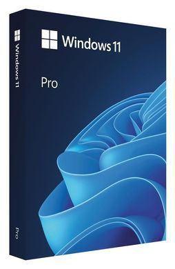 Примірник ПЗ Microsoft Windows 11 Pro англ, FPP на USB носії (HAV-00164) [113450]