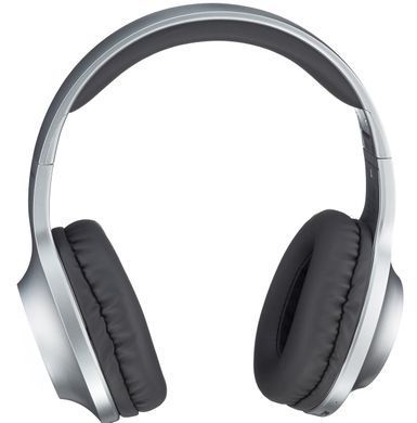 Гарнітура Panasonic RB-HX220BEE-S (RB-HX220BEES) [201193]