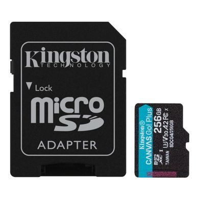 Карта пам'яті Kingston microSD 256GB C10 UHS-I U3 A2 V30 R200/W160MB/s + SD (SDCG4/256GB) [108945]