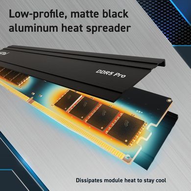 Модуль пам'яті PRO 24GB DDR5-5600 CRUCIAL (CP24G56C46U5) [504040]