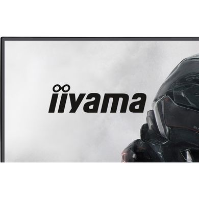 Монітор IIYAMA (GB2441HSU-B1) [305082]