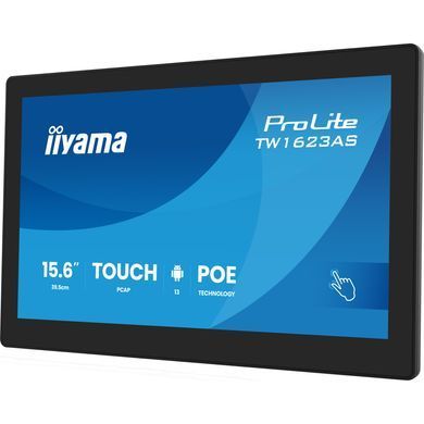 Монітор iiyama (TW1623AS-B3P) [728779]