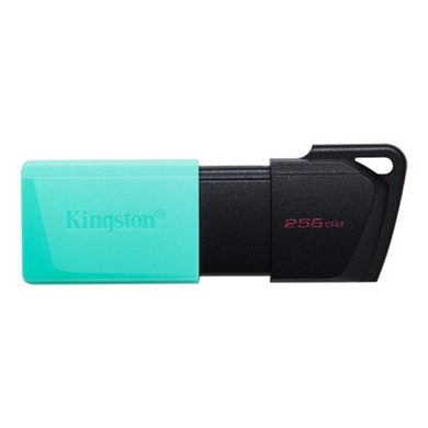 Флеш пам'ять KINGSTON (DTXM/256GB) [302673]