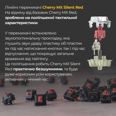 Клавіатура Ducky One 3 Mini Cherry MX Silent Red RGB UA USB Black (DKON2161ST-SUAPXCLAWSC1) [612542]