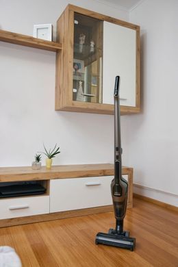 Пилосос Gorenje бездротовий, 176Вт, конт пил -0.6л, автон. робота до 70хв, HEPA, 2 в 1, підсвічування, індикатор, щітка- електротурбо, бронзи (SVC288191FSIIGO) [102450]