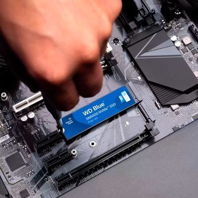SSD диск WESTERN DIGITAL (WDS400T4B0E) [305718]