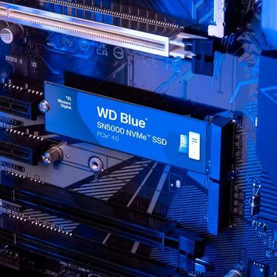 SSD диск WESTERN DIGITAL (WDS400T4B0E) [305718]
