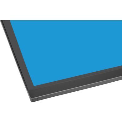 Монітор IIYAMA (XCB4594DQSU-B1) [306322]