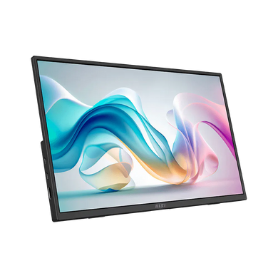 Монітор MSI (PRO MP165 E6) [306149]