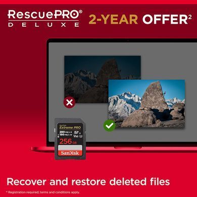 Карта пам'яті SanDisk SD 256GB C10 UHS-II U3 R280/W150MB/s Extreme Pro V60 (SDSDXEP-256G-GN4IN) [110040]
