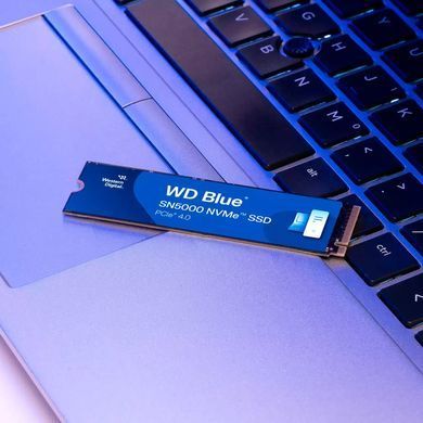 SSD диск WESTERN DIGITAL (WDS400T4B0E) [305718]