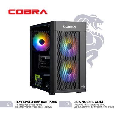 Персональний комп`ютер COBRA Advanced (A55.16.S5.55.22285) [619377]