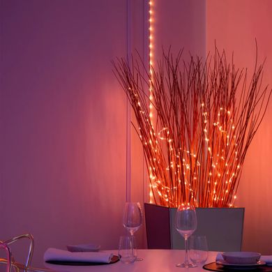 Twinkly Гірлянда Smart LED Twinkly Dots Lights RGB 400 Gen II, IP44, 20м, кабель прозорий (TWD400STP-TEU)