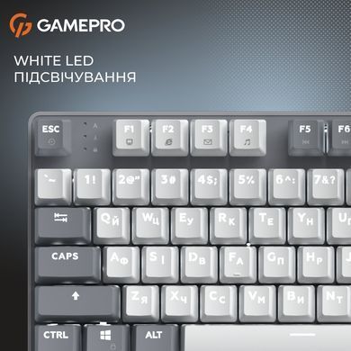Клавіатура GamePro Genesis Metallic Outemu Red Swithes USB Gray (MK110G) [615507]