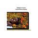 Ноутбук Apple MacBook Neo A3404 (MHFE4UA/A) [726858], фото 5