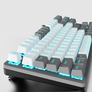 Клавіатура Aula Mechanical F3287 Grey/White Keycap KRGD Blue (6948391240954) [605973]
