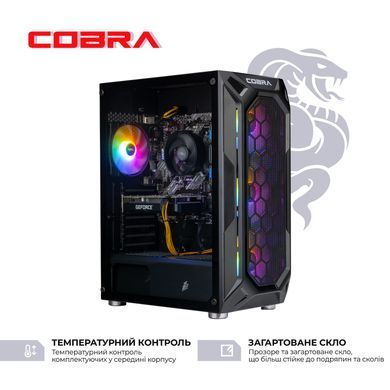 Персональний комп`ютер COBRA Advanced (A55.32.S10.36.18563) [615630]