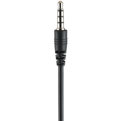 Гарнітура Sandberg MiniJack Office Headset, 3,5мм, Black (325-41) [401992]