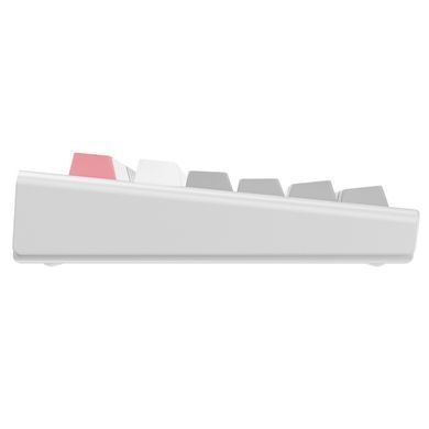 Клавіатура бездротова 1stPlayer NEO87 Wireless Frostwave (NEO87-FW-TLD) [618979]