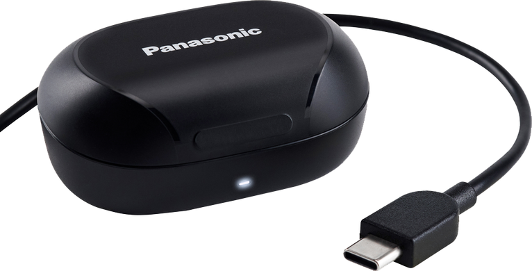 Гарнітура Panasonic (RZ-B120WDG-K) [201413]