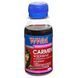 Чорнило WWM Canon Universal Carmen Magenta 100г (CU/M-2)