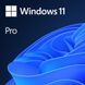 Програмна продукція Win 11 Pro 64 bit All Languages ESD (FQC-10572) [503546], фото 1