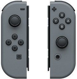 Ігрова консоль Nintendo Switch (сірий) (4902370551198) [12491]