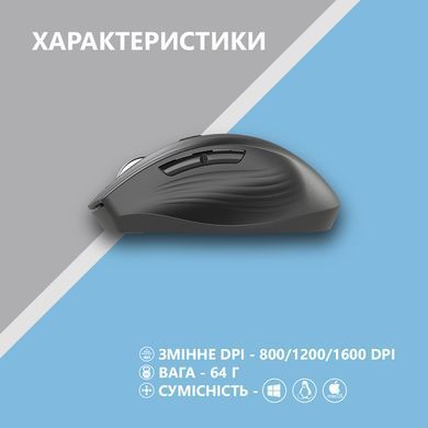 Миша 2E MF250 Silent, WL, чорний (2E-MF250WBK) [104001]