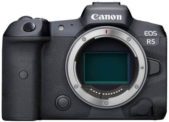 Цифр. фотокамера Canon EOS R5 body (4147C027) [113748]