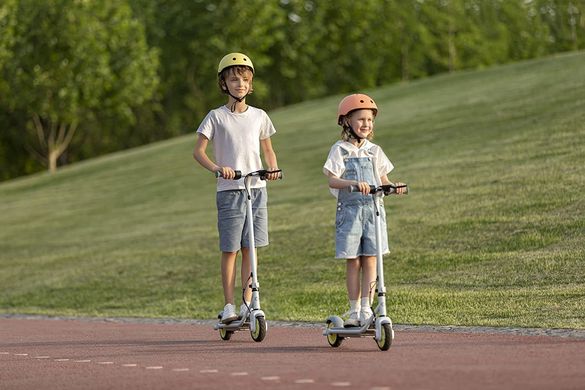 Segway Електросамокат Ninebot by Segway C8 (AA.00.0011.61)