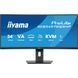 Монітор IIYAMA (XCB3497WQSNP-B1) [300811], фото 2