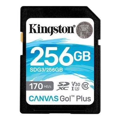 Kарта пам&rsquo;яті KINGSTON (SDG3/256GB) [302616]