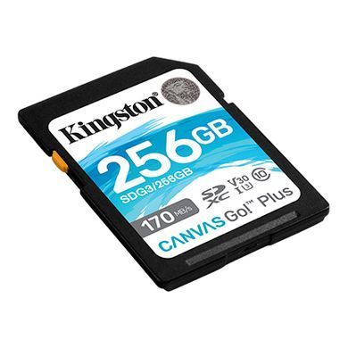 Kарта пам&rsquo;яті KINGSTON (SDG3/256GB) [302616]