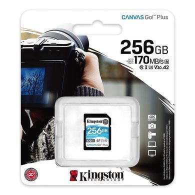 Kарта пам&rsquo;яті KINGSTON (SDG3/256GB) [302616]