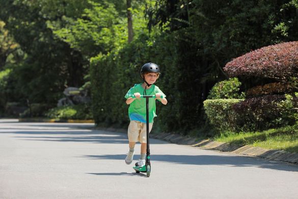 Segway Електросамокат Ninebot by Segway A6 (AA.00.0011.62)