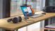 Гарнітура Dell Pro Wired ANC Headset WH5024 (520-BBGQ) [113846], фото 8