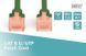 Патч-корд DIGITUS CAT 6 UTP, 10м, AWG 26/7, Cu, LSZH, зелений (DK-1617-100/G) [109880], фото 3