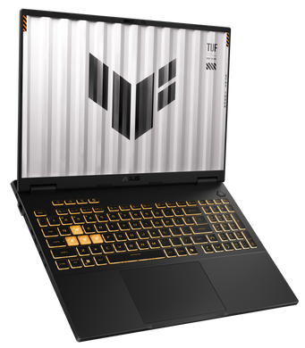 Ноутбук Asus FX608JMR-RV024 Jaeger Gray (90NR0NB1-M007F0) [203240]