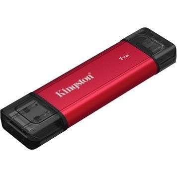 KINGSTON (SPSD/1TB) [305270]