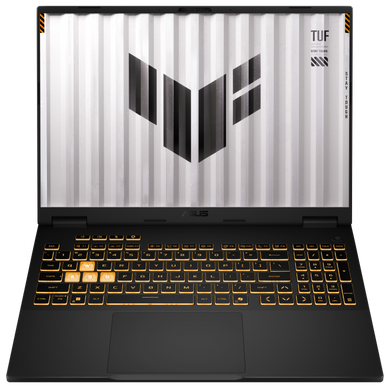 Ноутбук Asus FX608JMR-RV024 Jaeger Gray (90NR0NB1-M007F0) [203240]