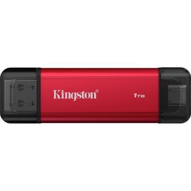 KINGSTON (SPSD/1TB) [305270]