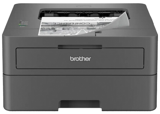 Принтер Brother (HLL2402DYJ1) [203305]
