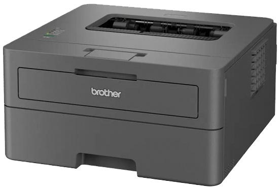 Принтер Brother (HLL2402DYJ1) [203305]