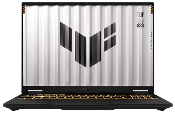 Ноутбук Asus FX608JMR-RV024 Jaeger Gray (90NR0NB1-M007F0) [203240]