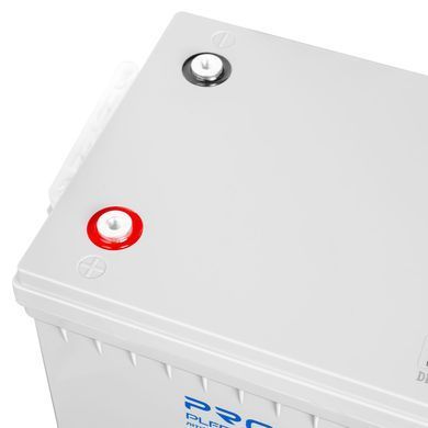 Акумуляторна батарея Prologix 25.6V 100AH 2560Wh LiFePO4 (PLFP24-100) [619077]